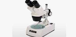 Microscopic examination